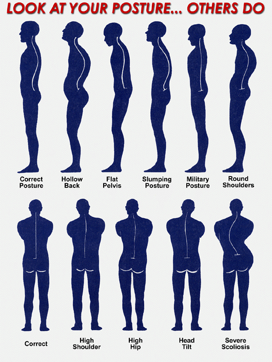 healthy back posture